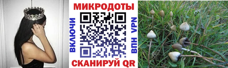 Купить закладки Нариманов Псилоцибиновые грибы мицелий